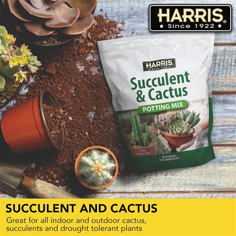 Harris Mezcla de tierra prémium para macetas para suculentas y cactus