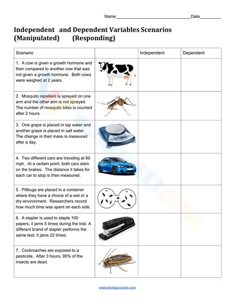 Understanding Dependent And Independent Variables Helping With Math Worksheets Library