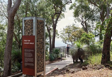 Mt Archer Treetop Boardwalk And Park Revitalization By Design