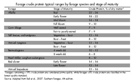 Protein in Beef Cattle Diets | The Cattle Site