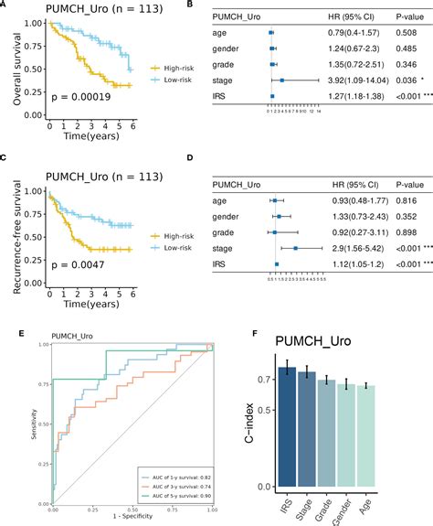 Frontiers Machine Learning Based Identification Of Tumor Infiltrating