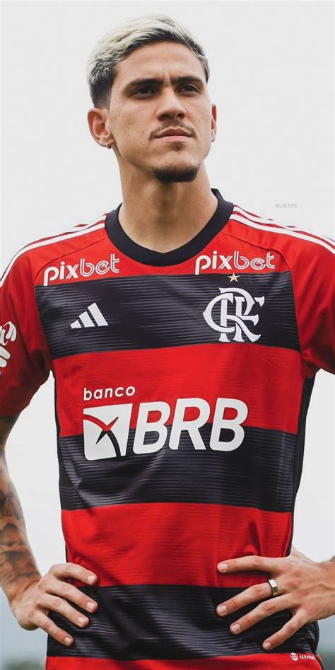 Pedro Guilherme Desktop Wallpapers Phone Wallpaper PFP Gifs