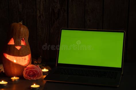 Halloween Pumpkins On Rough Wooden Boards With Candles And Rose Glowing