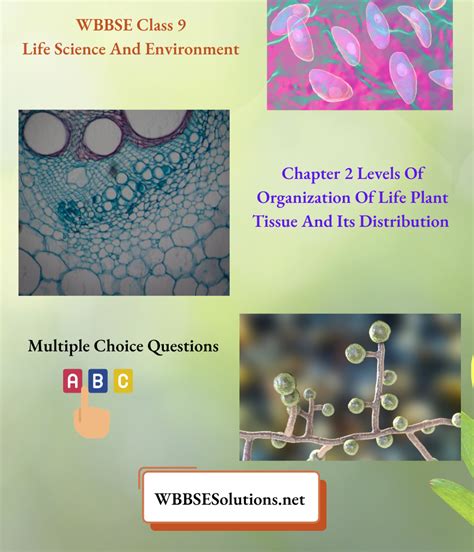 Wbbse Class Life Science And Environment Chapter Multiple Choice