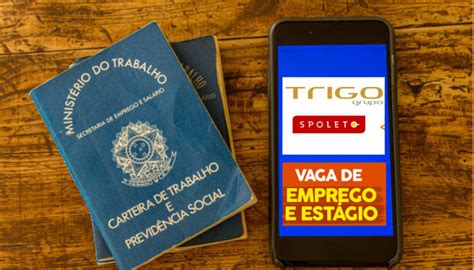 Grupo Trigo Abre Vagas De Emprego E Estágio Para Rio De Janeiro E São