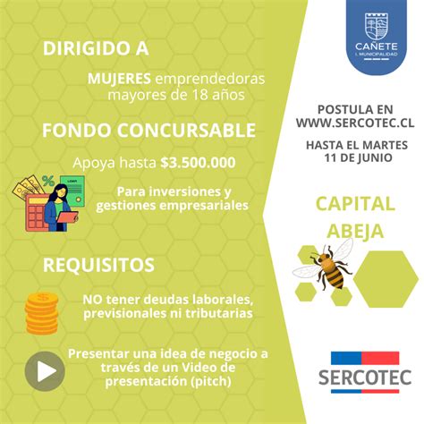 POSTULA AL CAPITAL ABEJA EMPRENDE DE LA REGIÓN DEL BIOBÍO MuniCañete