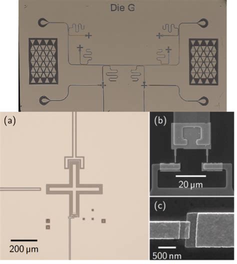 Building Blocks For Quantum Neuromorphic Computing Superconducting Quantum Memcapacitors Tqt