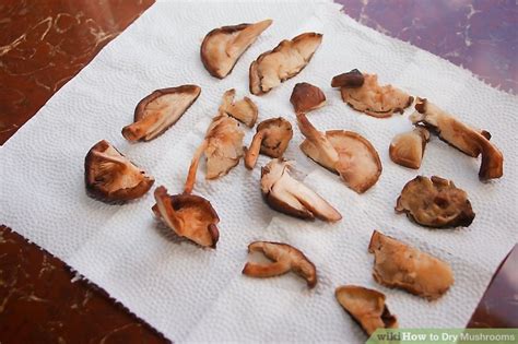 3 Ways To Dry Mushrooms Wikihow