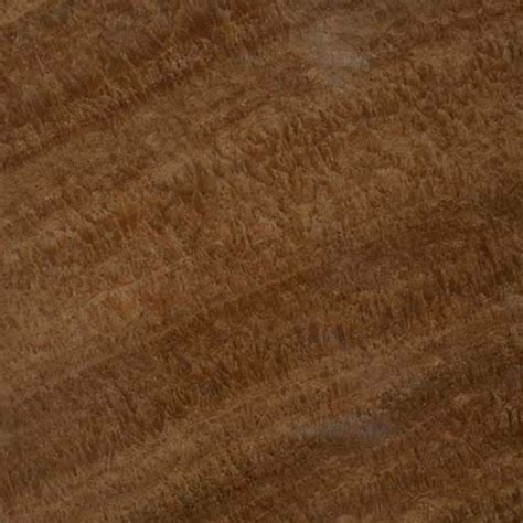 Sandstone Golden Teakwood