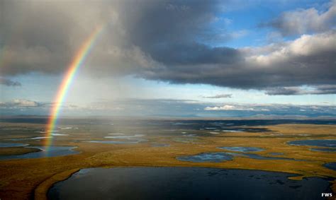 Selawik NWR | National Wildlife Refuges