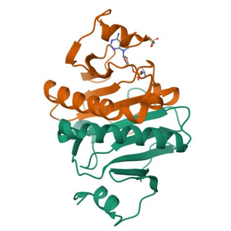 RCSB PDB 4EQH Crystal Structure Of Histidine Triad Nucleotide