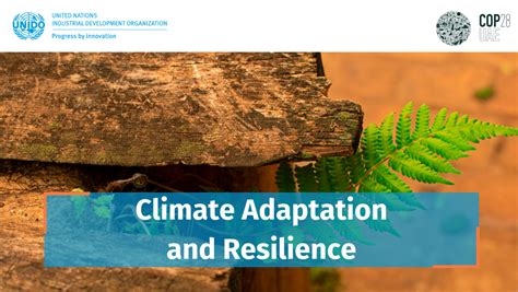 Climate Adaptation & Resilience | UNIDO