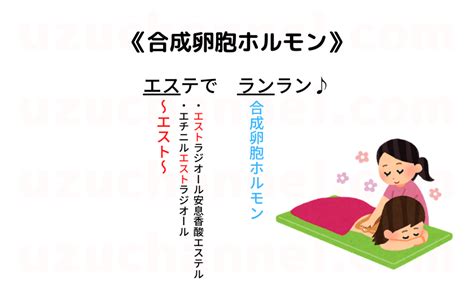 【ゴロ】合成卵胞ホルモン ゴロナビ〜薬剤師国家試験に勝つ〜