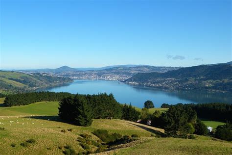 Otago Peninsula Scenery and Dunedin City Highlights Tour 2022 - Dunedin & The Otago Peninsula