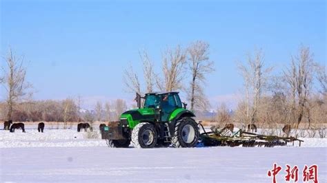 新疆北部团场机械破雪作业拉开春播序幕 凤凰网