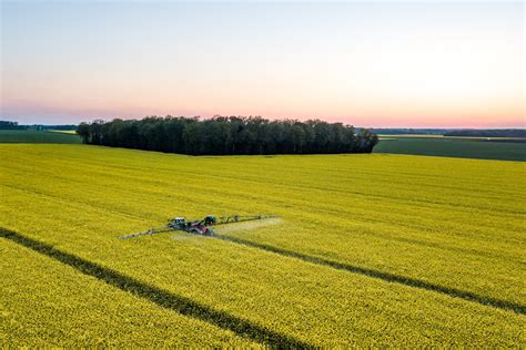 Zwalczanie szkodników rzepaku w zabiegu łączonym Sumi Agro Poland