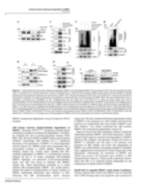 SOLUTION Cdc20 Directs Proteasome Mediated Degradation Of The Tumor