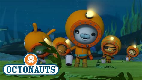 Octonauts Algae Farm Ocean Adventures Cartoons For Kids