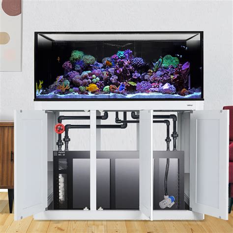 Int Aquarium Complete Saltwater Reef System Rfs Sump Mighty