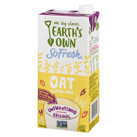 Earth S Own Oat Original Oat Beverage Stong S Market