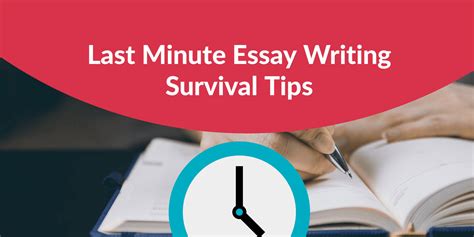 Last Minute Essay Writing Survival Tips Maple Learning