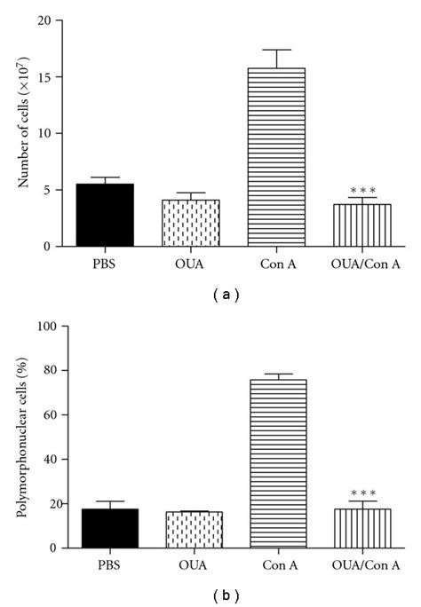 Effect Of The Pretreatment With Ouabain Oua Mg Kg Administered