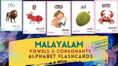 Malayalam Alphabet Flashcard Both Vowels And Consonants Learning Malayalam