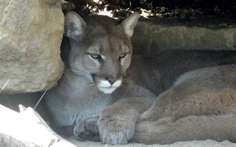 Topeka Zoo - Topeka, Kansas