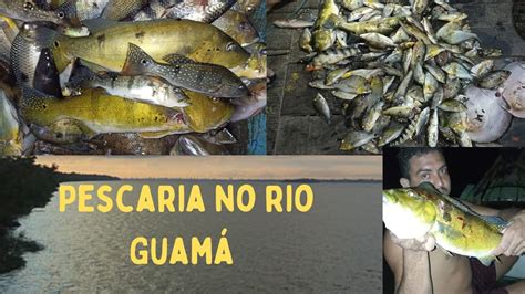 Pescaria S Os Brutos No R O Guam Youtube