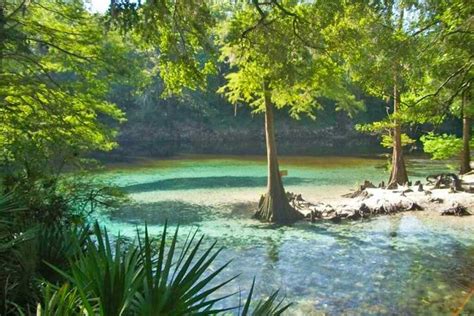 Madison Blue Spring State Park Florida Smart