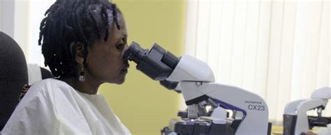 Lab Technicians Learn To Identify Multiple Malaria Species With