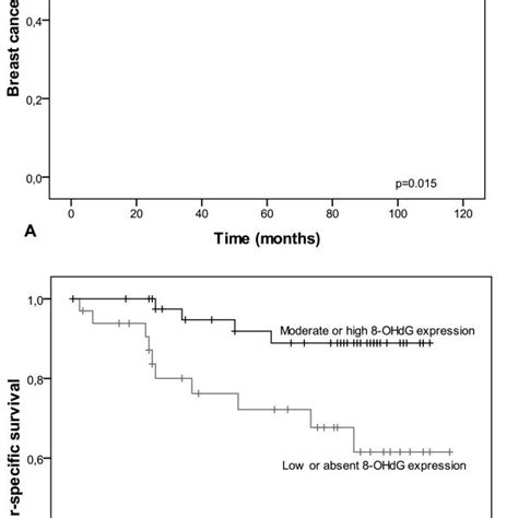 Kaplan Meier Curves Showing Breast Cancer Specific Survival In