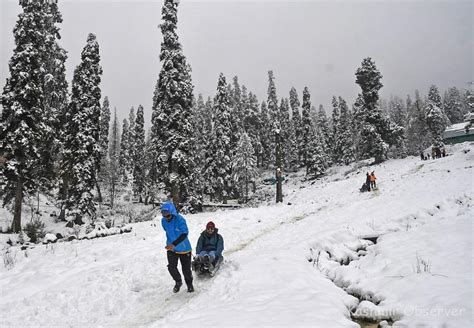 Snowfall In Kashmir Parts Sparks Hope For Tourism Farming Revival