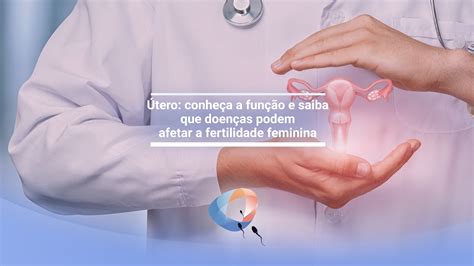 Útero conheça a função e saiba que doenças podem afetar a fertilidade