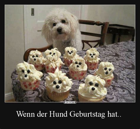 Wenn Der Hund Geburtstag Hat Debeste De