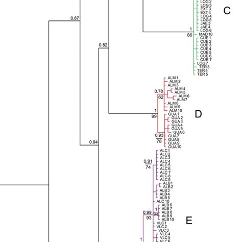 Tree Derived From Bayesian Analyses Of Partial Nd Mitochondrial Dna