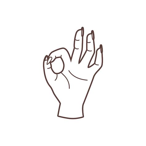 Premium Vector Ok Hand Gesture Vector Linear Illustration