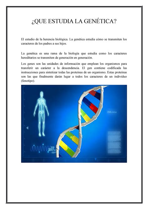 QUE Estudia LA Genética QUE ESTUDIA LA GENÉTICA El estudio de la