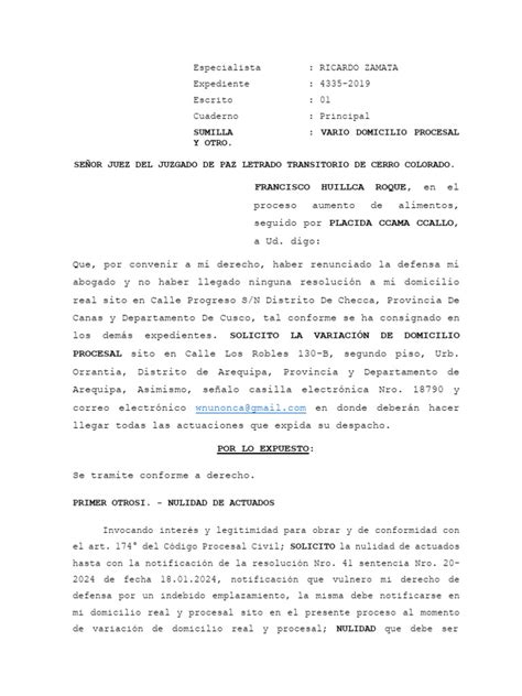 Nulidad De Actuados Francisco Ultimo Original Pdf Mandato