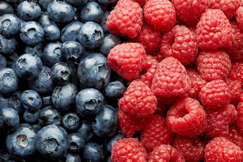 Allergy To Raspberries And Blueberries At James Rodriguez Blog