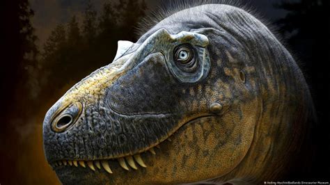 Nueva especie de tiranosaurio sería un ancestro del T rex DW 28 11