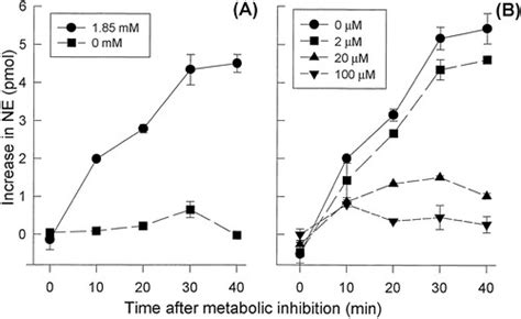 Role Of Ca In Metabolic Inhibitioninduced Norepinephrine Release In