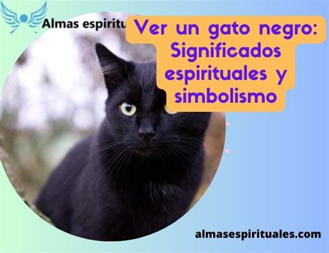 Significados Espirituales Cuando Un Gato Negro Se Cruza En Su Camino