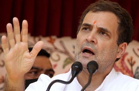 Rahul Gandhi To Again Contest From Kerala S Wayanad As Congress