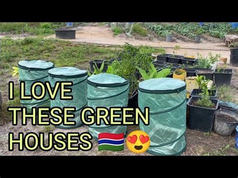 I Love These Greenhouses Youtube