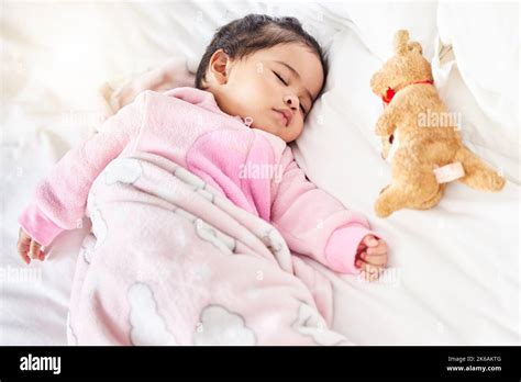 Adorable Baby Girl Sleeping Peacefully In Her Bed With Stuffed Animal