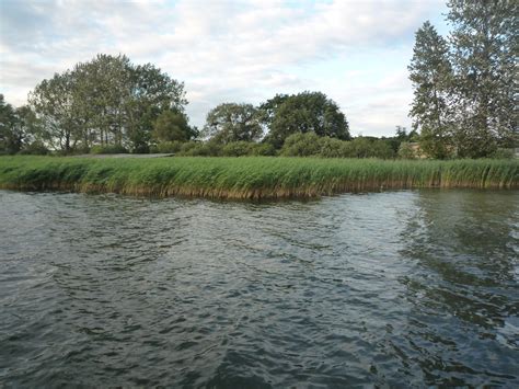 Images Gratuites Eau La Nature Bateau Lac Rivi Re Cano Roseau