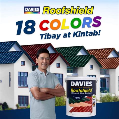 Davies Roofshield Roof Paint Liters Shopee Philippines