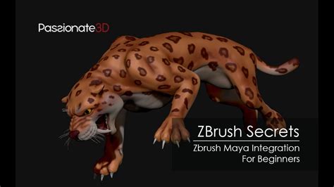 Zbrush Tips Zbrush Maya Integration For Beginners Youtube