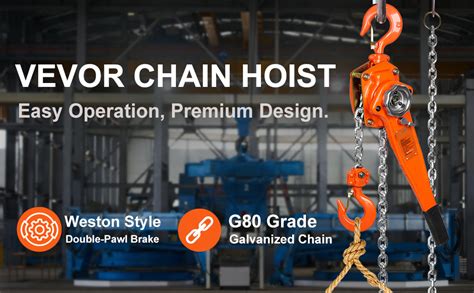 Amazon Happybuy Manual Lever Chain Hoist Ton Lbs